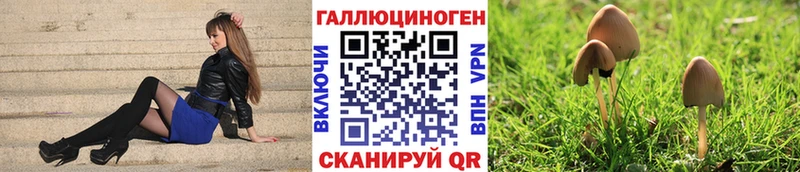 Галлюциногенные грибы Magic Shrooms  Купить где  Мирный 